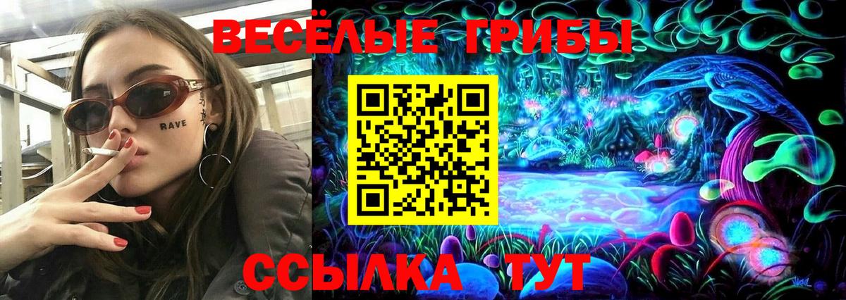 Галлюциногенные грибы мицелий Вольск